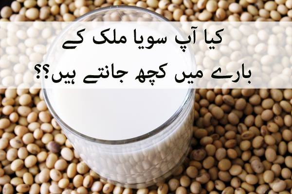 soya-milk-in-urdu-english-meaning-and-details