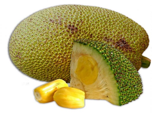 jackfruit-in-urdu-english-meaning-and-details