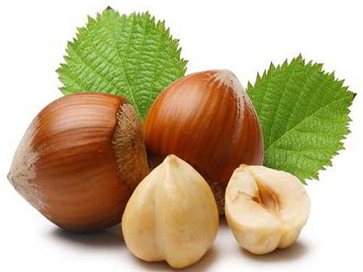 Hazelnut In Urdu English Meaning And Details