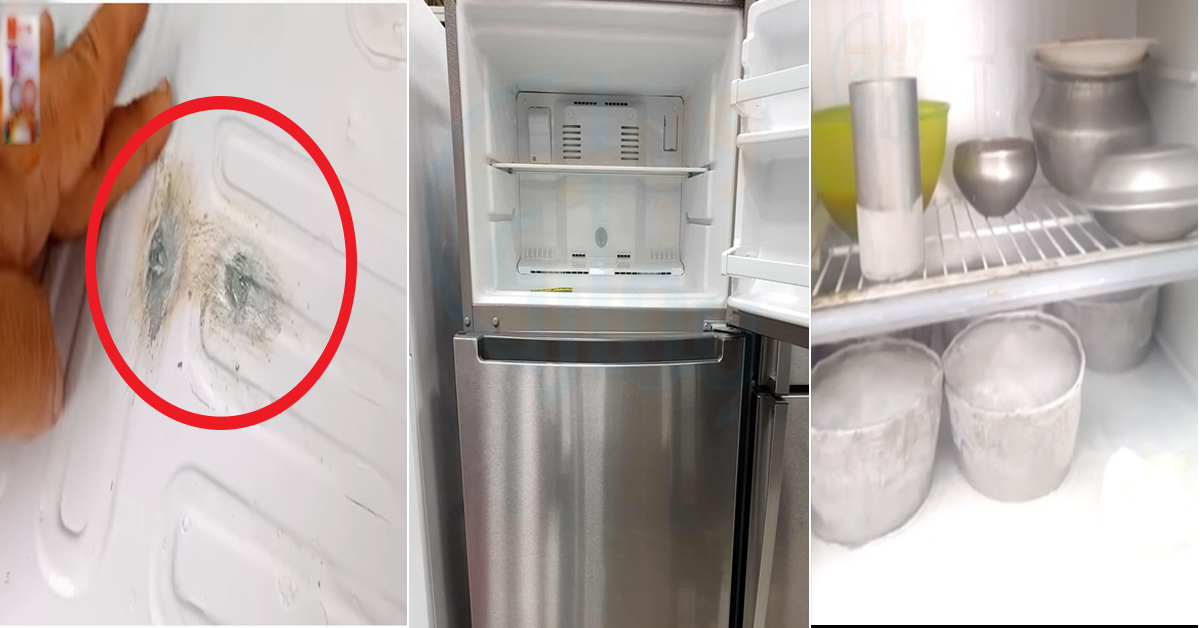 How To Fix Knife Case In Refrigerator In Urdu Women Tips And Tricks