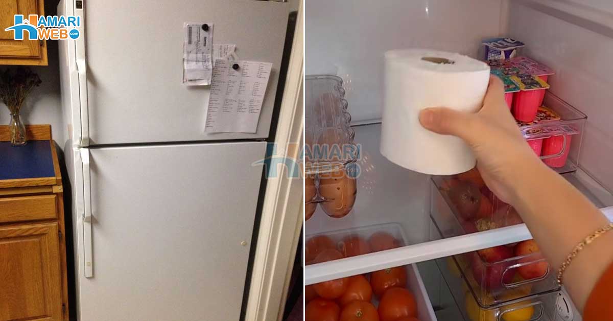 Tissue Paper Fridge Me Rakhne Se Kya Hota Hai In Urdu Women Tips And