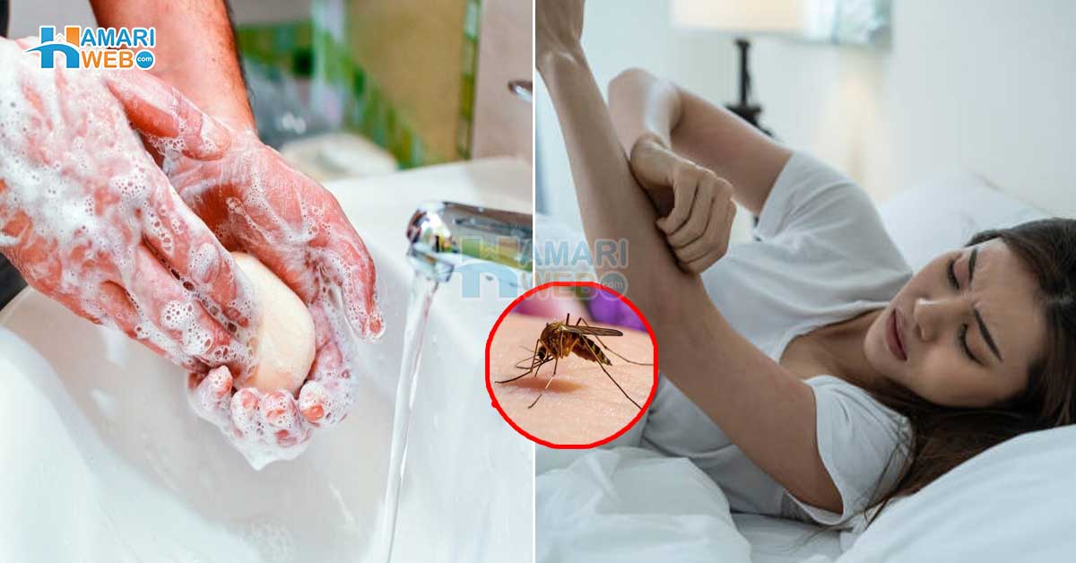 Beauty Soap Attract Mosquitoes In Urdu Women Health And Fitness