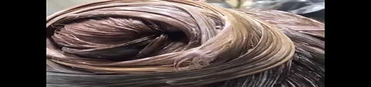 Beautiful Hair Transformation