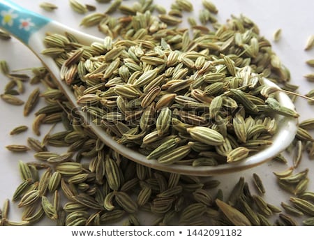 آپ سونف کے حیرت انگیز فوائد تو جانتے ہوں گے لیکن بچوں کو سونف کھلانے کا ایسا فائدہ کہ جان کر ہر ماں آزمائے بنا رہ نہ پائے