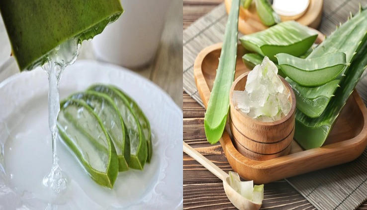 ایلو ویرا کھانے میں کڑوا ضرور لیکن اس کے فوائد جان کر آپ اس کو بھی دوا سمجھ کر کھانے پر مجبور ہوجائیں گے