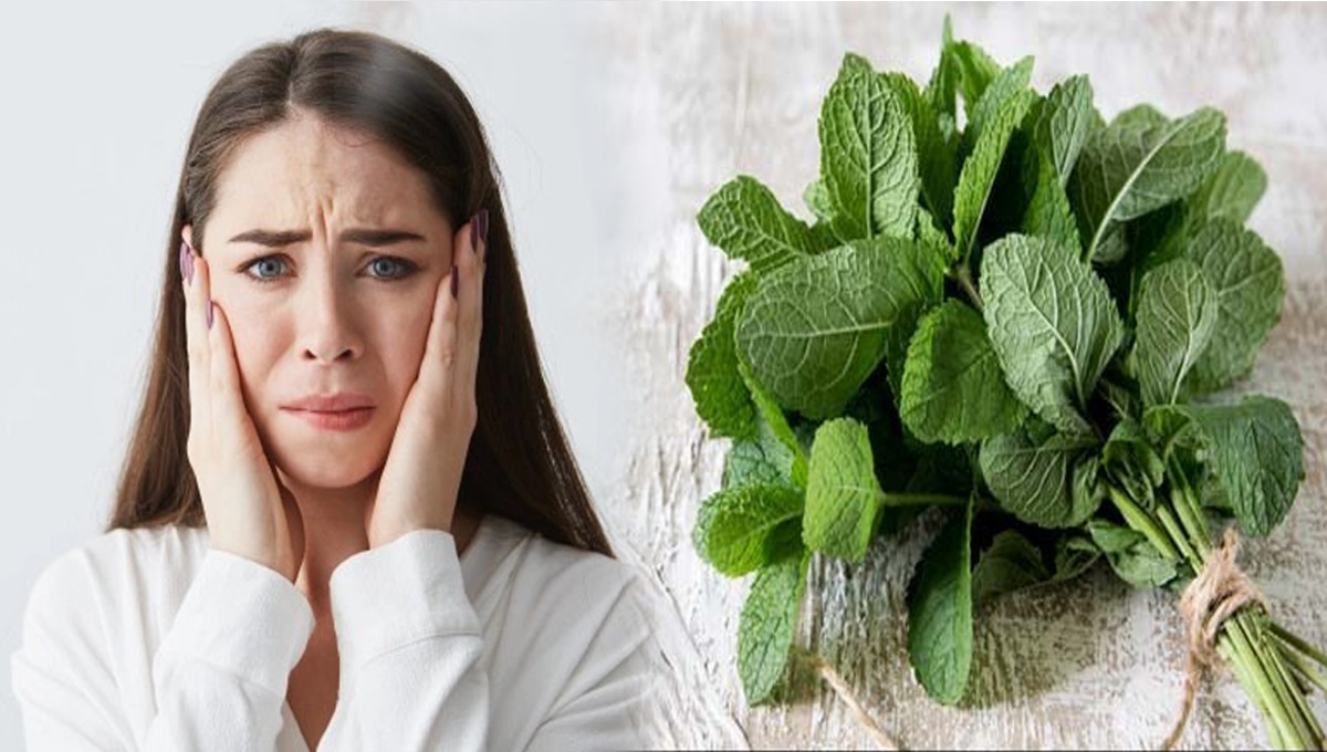 خشک موسم میں پودینے کا استعمال کیسے جلد کو خشکی سے بچا سکتا ہے؟ جانیں کچھ راز جو کریں آپ کی خوبصورتی میں اضافہ