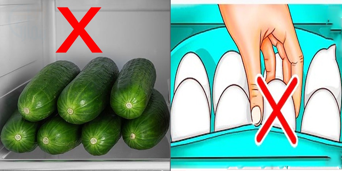 اگر آپ بھی کھیرے، انڈے اور یہ چیزیں فریج میں رکھتے ہیں تو فوراً چھوڑ دیں ورنہ ۔۔ جانیئے ایسی چیزوں کے بارے میں جن کو فریج میں رکھنے سے آپ ان بیماریوں میں مبتلا بھی ہوسکتے ہیں