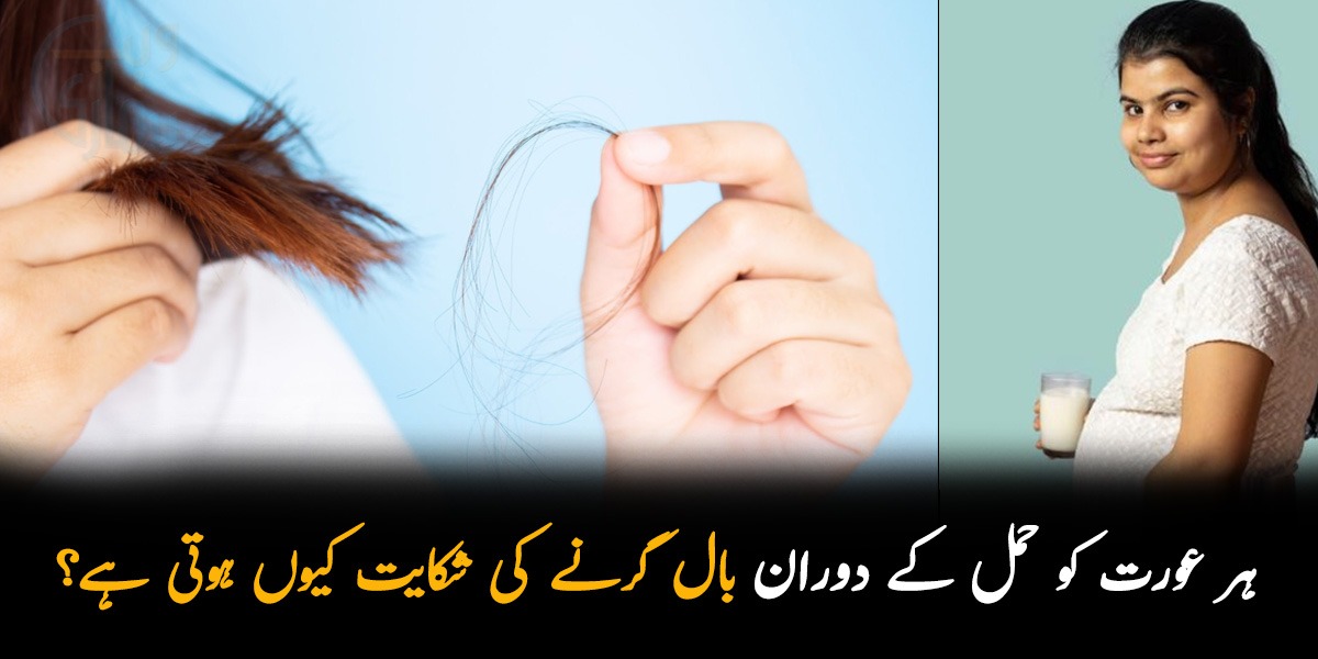 پی سی اور آئرن کی کمی کا مسئلہ بھی ہوسکتا ہے ۔۔ جانیئے ہر عورت کو حمل کے دوران بال گرنے کی شکایت کیوں ہوتی ہے؟