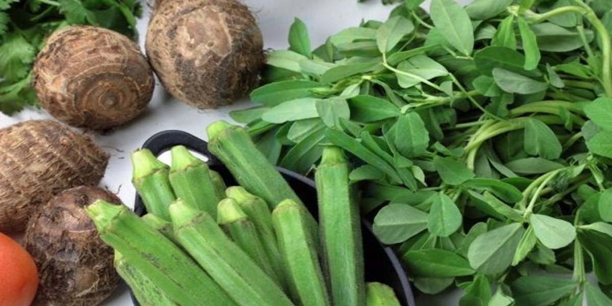 ہری سبزیاں ہڈیوں کو مضبوط اور جلد کو جوان رکھتی ہیں ۔۔ جانیے ہری سبزیوں کے کچھ ایسے فائدے جو کم ہی لوگ جانتے ہیں