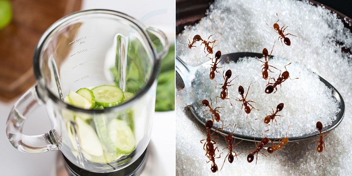 روزمرہ کام آنے والے نانی جان کے کچھ ایسے پُرانے ٹوٹکے جو ہر دور میں آپ کے کام آئے