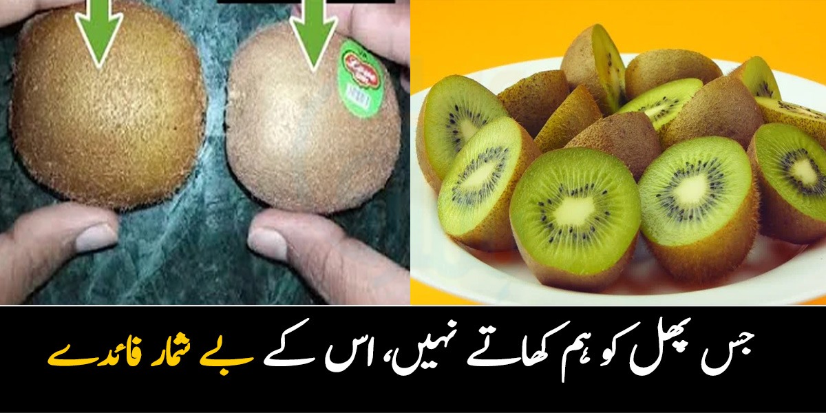 جس پھل کو ہم کھاتے نہیں، اس کے بے شمار فائدے ۔۔ جانیے کیوی پھل کے ایسے مہنگے فائدے جو ڈاکٹر بھی بتاتے ہیں