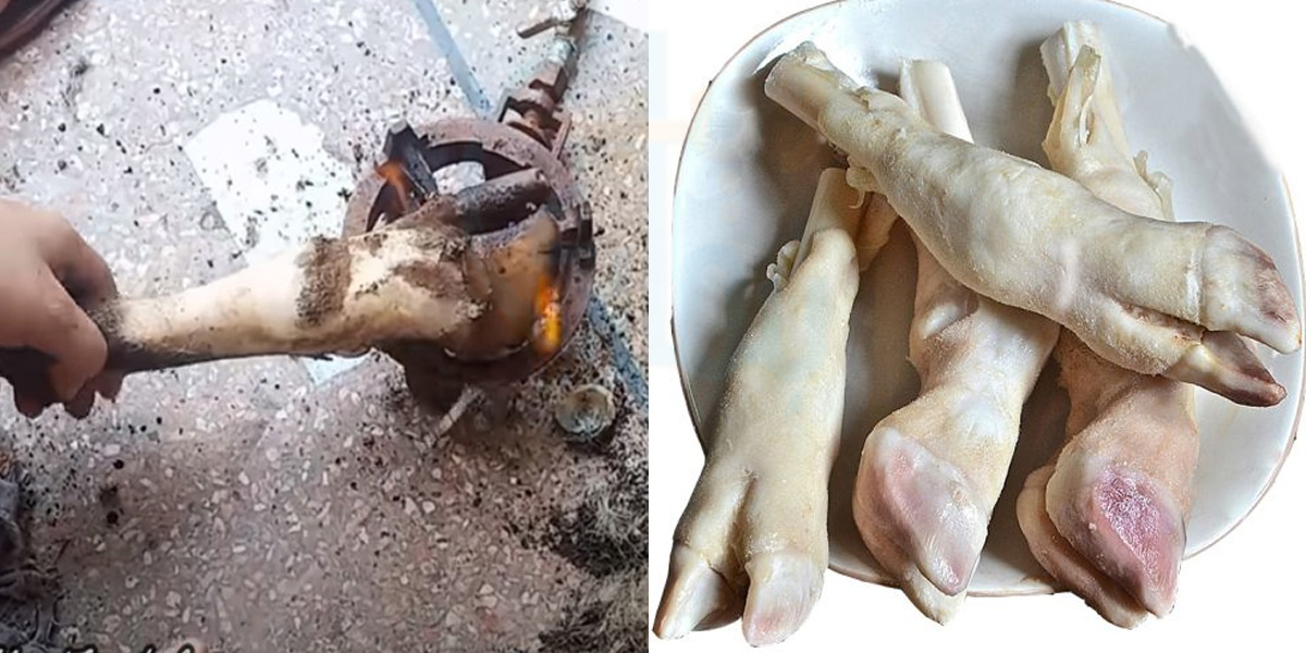 پائے کی صفائی اب ہوگی منٹوں میں ۔۔ جانیے عید پر پائے صاف کرنے کا ایسا آسان طریقہ جو آپ کی بھی بڑی مشکل آسان کردے