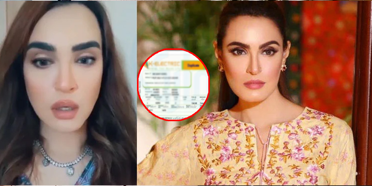 دل نہیں دینا تو نہ دو، کم سے کم ہمارا بجلی کا بل تو دے دو ۔۔ نادیہ حسین کی مزاحیہ ویڈیو وائرل