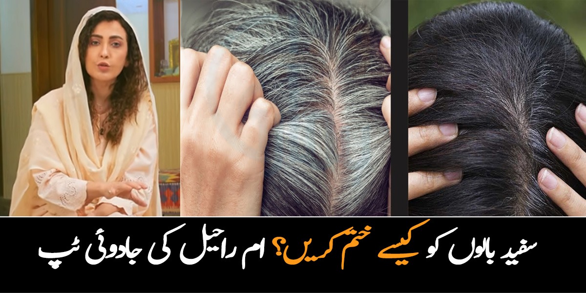 سفید بال وقت سے پہلے آنا شروع ہوگئے تو گھبرائیں نہیں۔۔ آج ہی بنائیں ان دو پتوں سے جادوئی تیل ڈاکٹر اُمِّ راحیل کے بتائے ہوئے طریقے سے