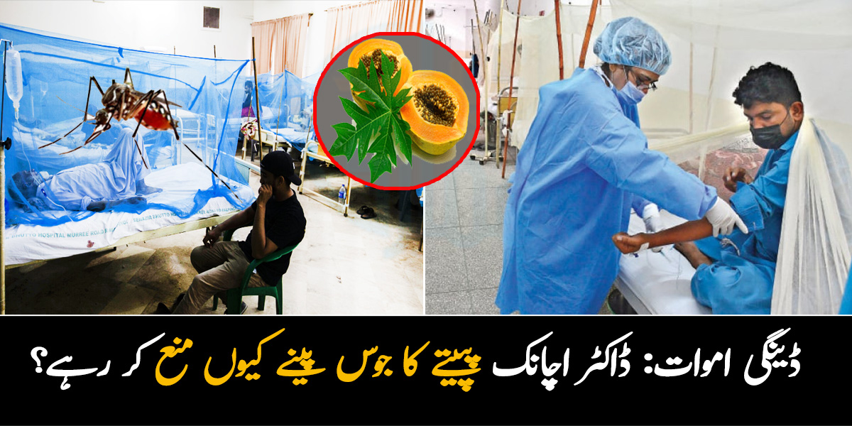 پپیتے کا جوس نہ دینے کی وجہ سے بیٹا مرگیا ۔۔ بڑھتے ہوئے ڈینگی کیسز میں فائدہ دینے والا یہ جوس کیوں منع کیا گیا؟ مریض پریشان