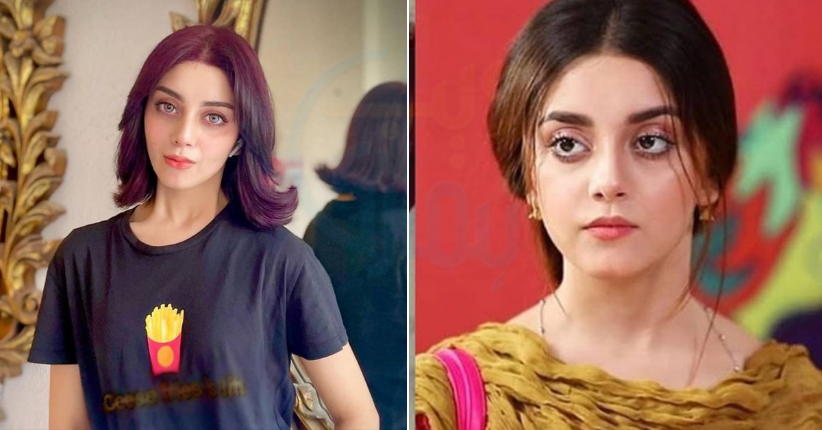 کیا علیزے شاہ نے سرجری کروا لی؟ معصوم سی دکھنے والی علیزے اتنی کیسے بدل گئی، مداح پریشان