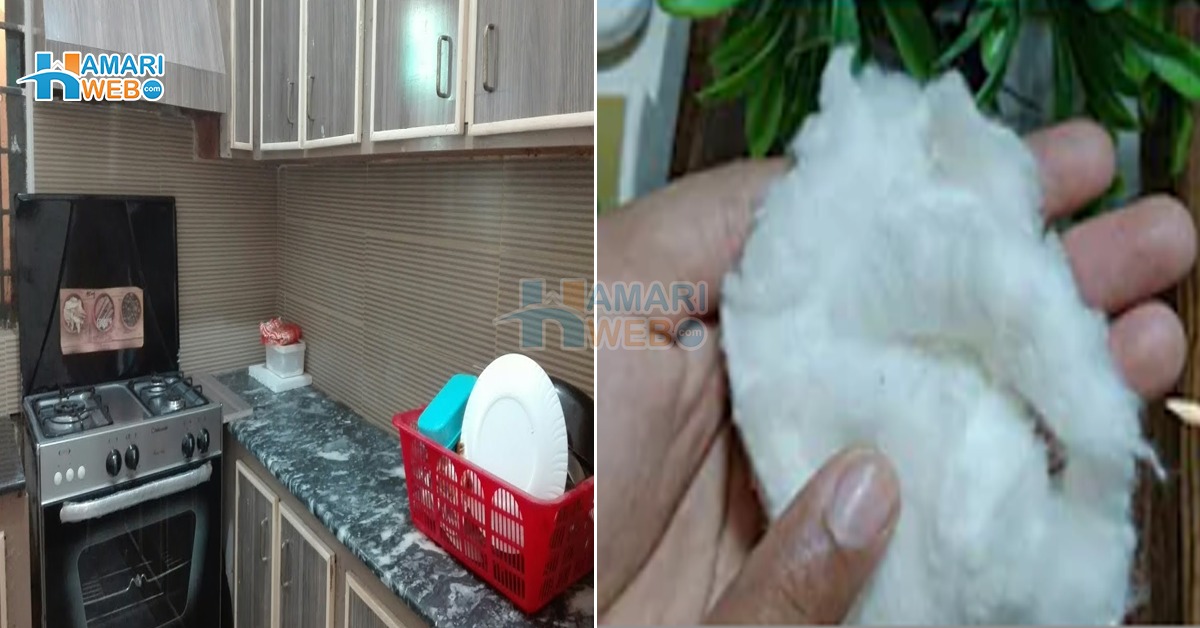 روئی کو پانی میں بھگو کر کچن میں چھوڑ دیں، پھر کمال دیکھیں جانیں بڑی مشکل آسان کرنے والا فارمولا