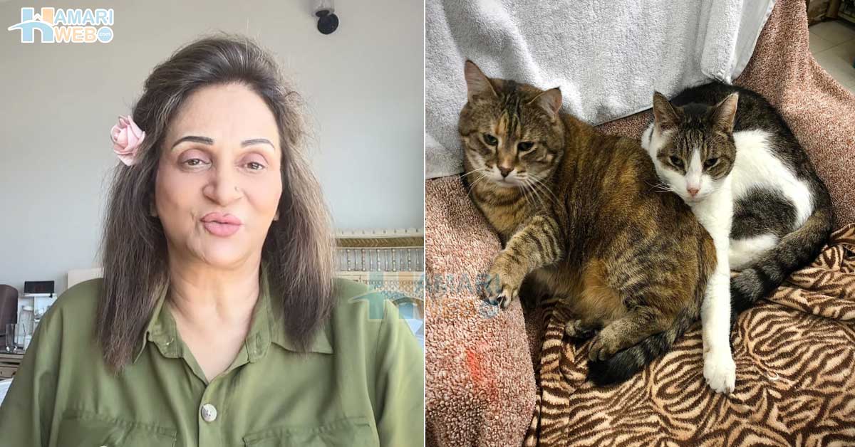 جانوروں کو پالنے کے بجائے انسان کے بچے پالیں تاکہ ۔۔ بشریٰ انصاری نے جانور پالنے والوں کو کیا اہم مشورہ دے دیا؟ دیکھئے ویڈیو