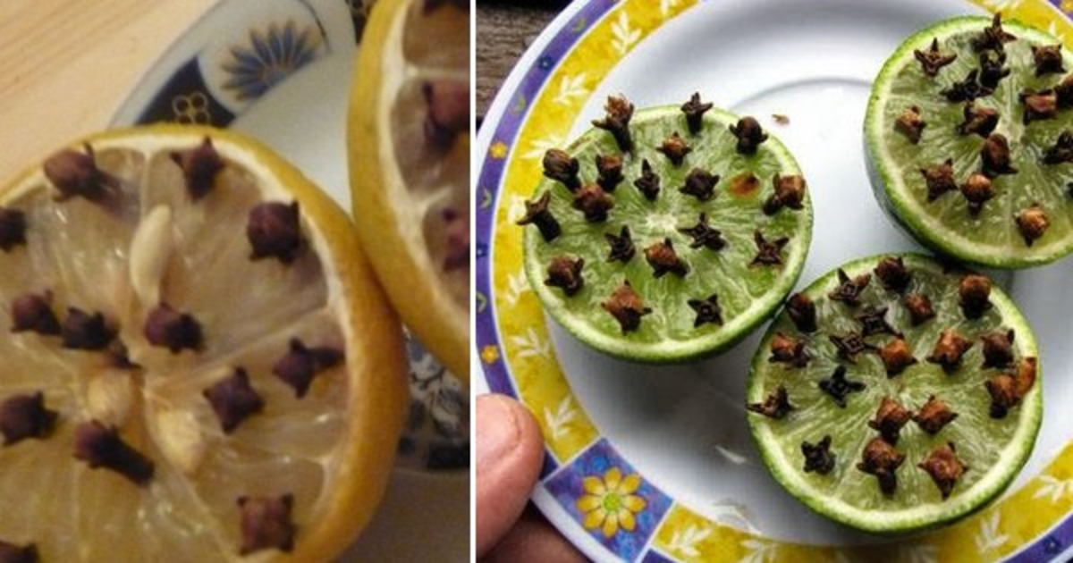 مکھیوں سے پریشان ہیں تو ابھی یہ نسخہ آزمائیں اور مکھیوں سے چھٹکارا پائیں