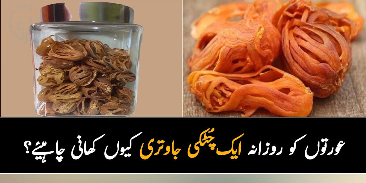 عورتوں کو روزانہ ایک چُٹکی جاوتری کیوں کھانی چاہیئے  جانیئے کھانوں میں جاوتری کا استعمال کتنا فائدے مند ہے؟