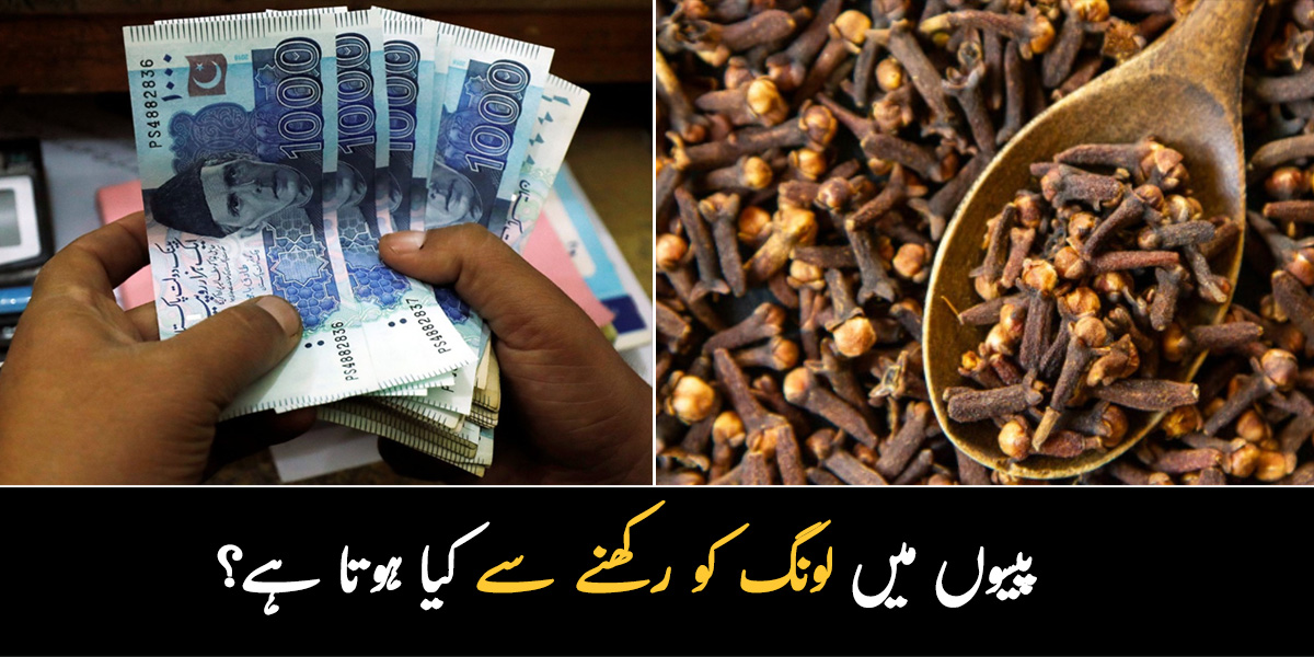 کیا آپ جانتے ہیں کہ اگر آپ کیلے کے چھلکوں سے اپنے پاؤں رگڑیں تو کیا ہوگا؟ جان کر آپ بھی کبھی کیلے کے چھلکے پھینکیں گے نہیں