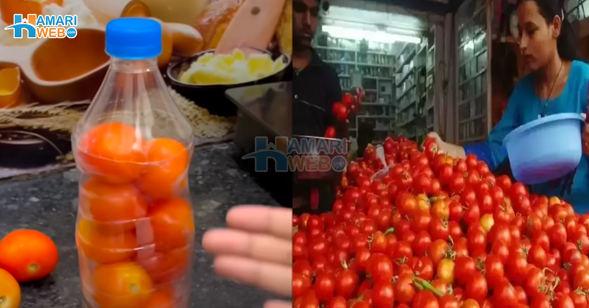 ٹماٹر کو بوتل میں کیوں رکھنا چاہیئے؟ جانیں ایسا آسان طریقہ جو خواتین کے کام بھی آئے اور ان کے پیسے بھی بچائے