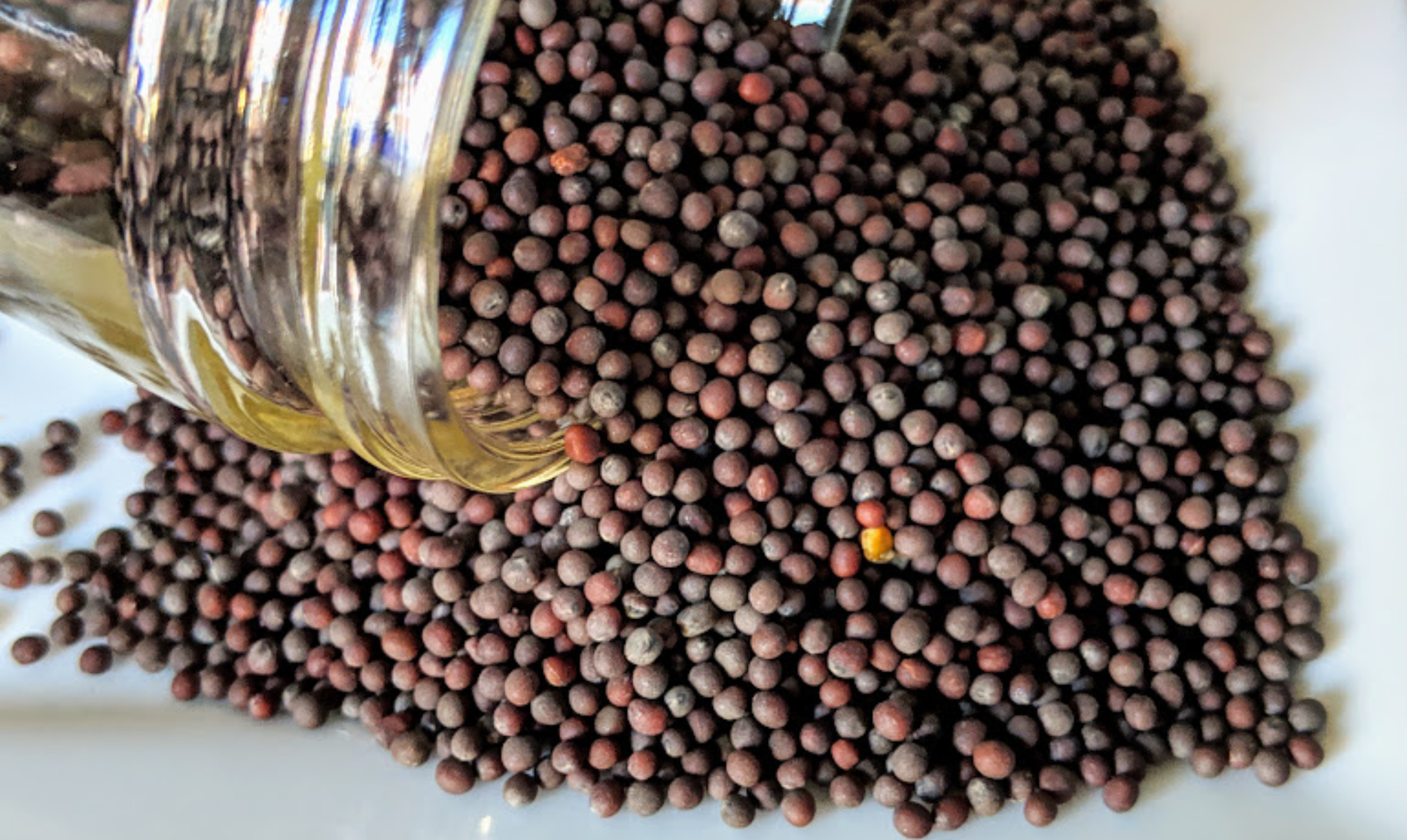 ماہواری کے درد سے نجات کے لئے بتائے گئے طریقے سے رائی دانے کا استعمال کریں اور درد کو کریں فوراً کنٹرول