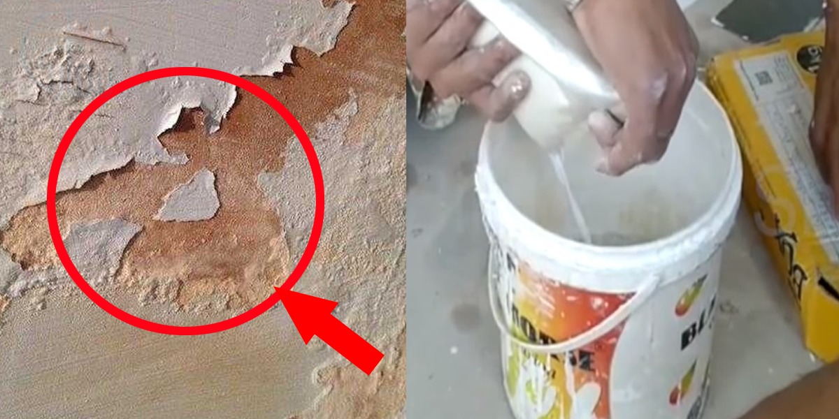 دیواروں اور چھت پر سیلن لگنے سے پریشان ہیں تو کئی سال پرانی سیلن صرف 500 روپے میں ختم کرنے کا طریقہ جانیں او ر اس سے جان چھڑوائیں