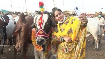 کراچی کی سپر ہائی وے مویشی منڈی میں جانور فروخت کرنے والی باہمت لڑکی کی اِنٹری نے سب کو حیران کردیا