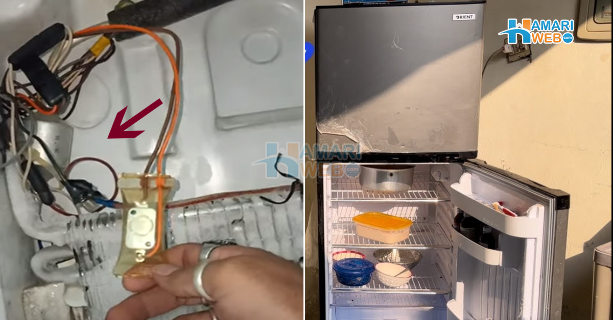 گرمیوں میں فریج کم کولنگ کرتا ہے یا کمپریسر کا مسئلہ ہے؟ تو اس کی کولنگ بہتر بنانے کے گھر بیٹھے یہ طریقے اپنائیں جو آپ کے بجلی کا ہزاروں روپے کا بل بھی بچائیں