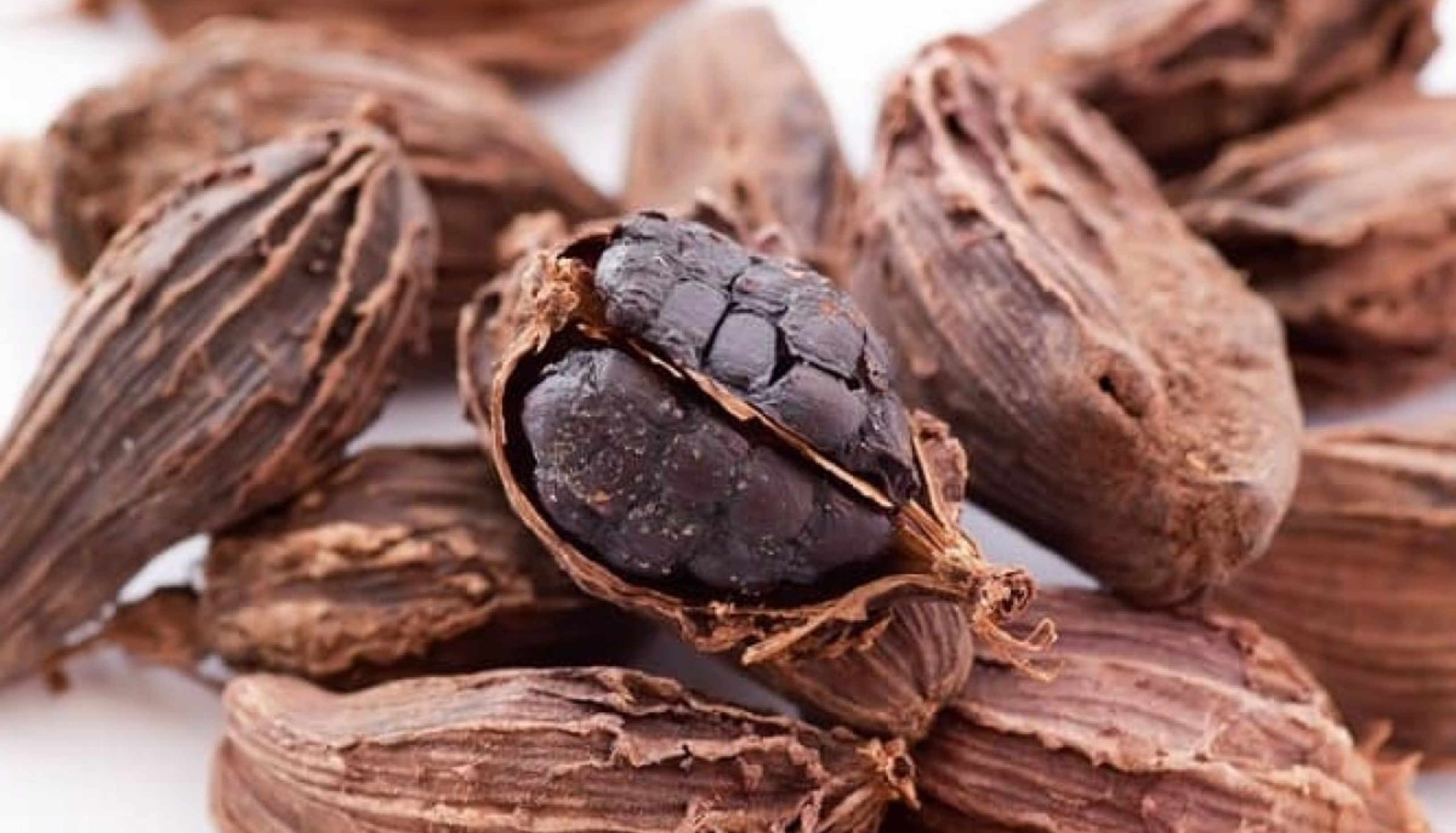 سانس کی تکلیف ہو یا پھر بالوں کے مسائل۔۔۔ جانیں بڑی الائچی کھانے کے 6 بہترین فائدے