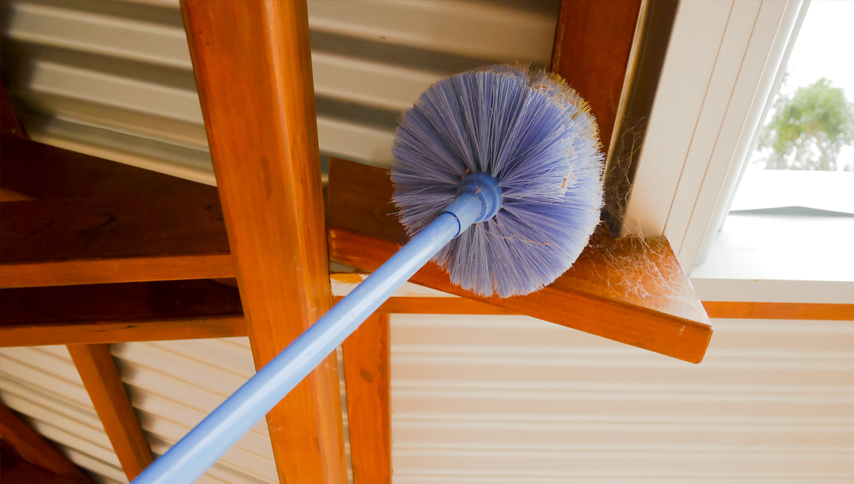 ایسا نسخہ کہ اب مہینوں تک گھر میں مکڑی کے جالے نہیں ہونگے ابھی آزمائیں اور روز روز کی صفائی سے جان چھڑائیں