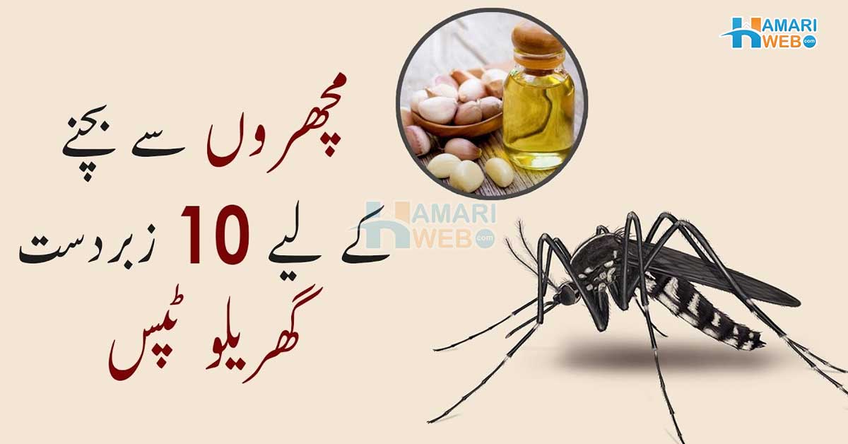 مچھروں نے کاٹ کاٹ کر رات کی نیند حرام کردی ہے ۔۔ جانیں وہ چند گھریلو اجزاء، جن کے استعمال سے مچھر آپ سے دور رہنے پر مجبور ہو جائیں گے