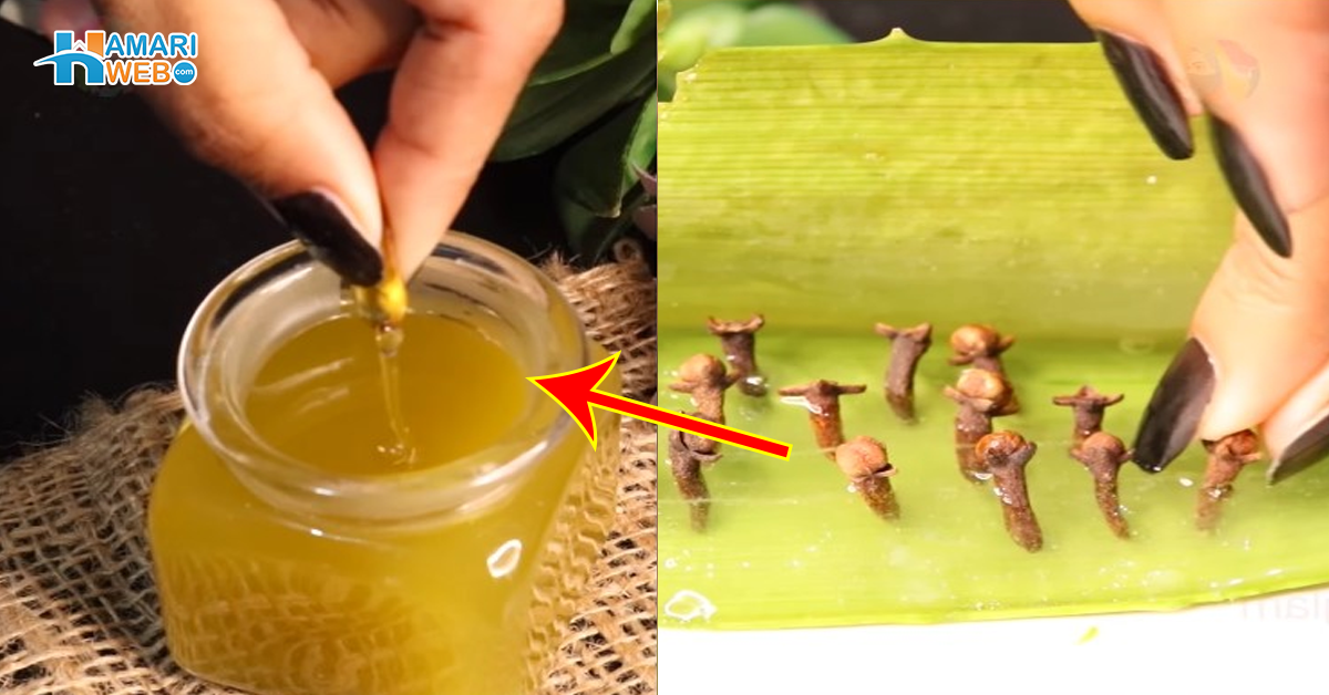 ایلوویرا میں رات بھر لونگ دبا کر رکھنے سے کیا ہوتا ہے؟ ایک مرتبہ یہ ٹپ آرمائیں، رزلٹ دیکھ کر آپ بھی مہنگے پروڈکٹس لینا چھوڑ دیں گی