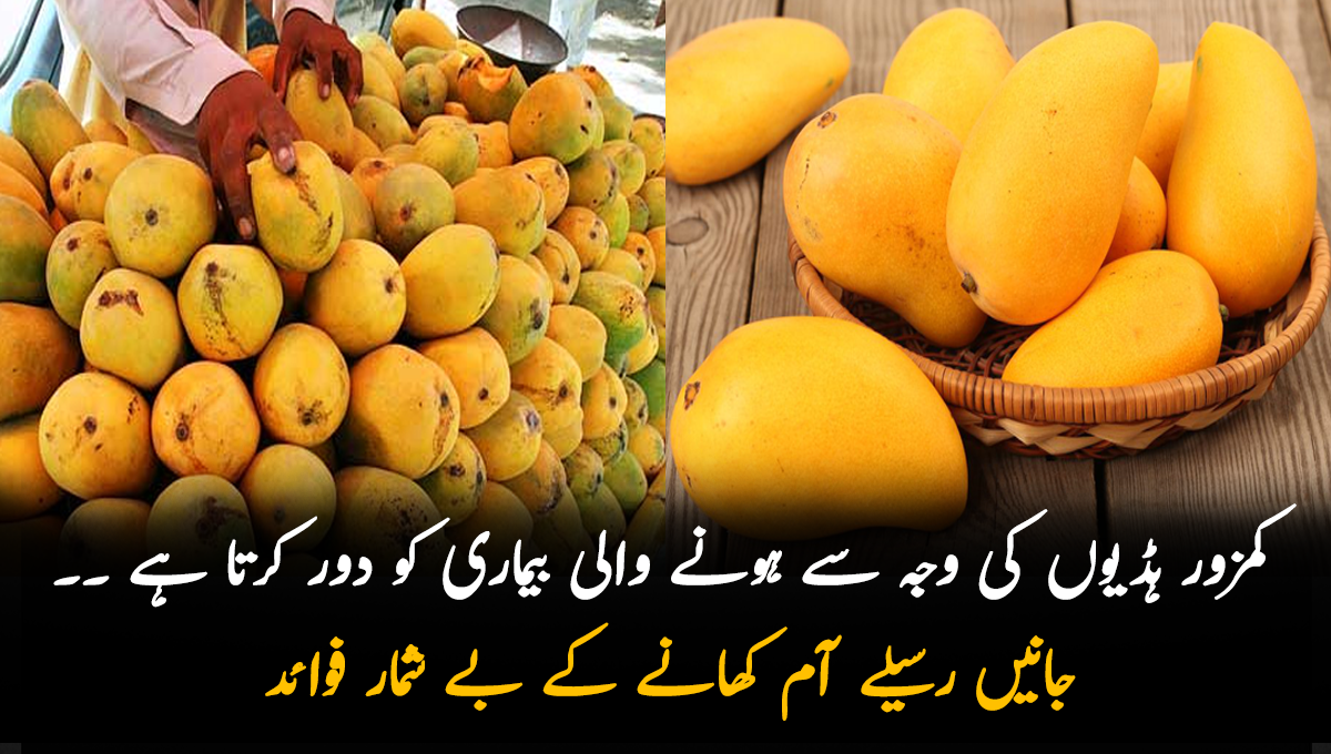 کمزور ہڈیوں کی وجہ سے ہونے والی بیماری کو دور کرتا ہے ۔۔ جانیں رسیلے آم کھانے کے بے شمار فوائد اور اس کی اقسام کے بارے میں