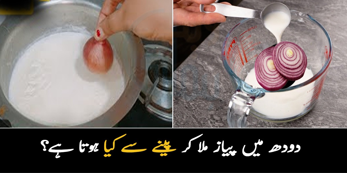 دودھ میں پیاز ملا کر پینے سے کیا ہوتا ہے؟ جانیئے اکثر لوگ اسکا استعمال ساتھ میں کیسے کرتے ہیں