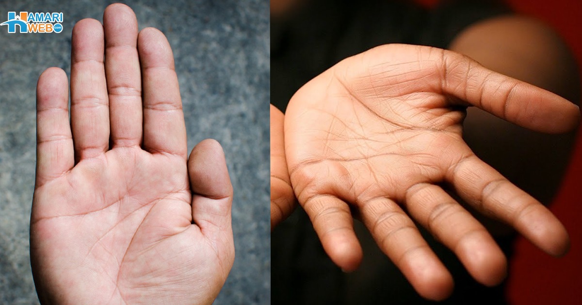 اگر آپکے ہاتھ چھوٹے ہیں تو اس کا مطلب ہے ۔۔ ہاتھوں کی بناوٹ آپ کی شخصیت کے کون سے راز کھولتی ہے؟