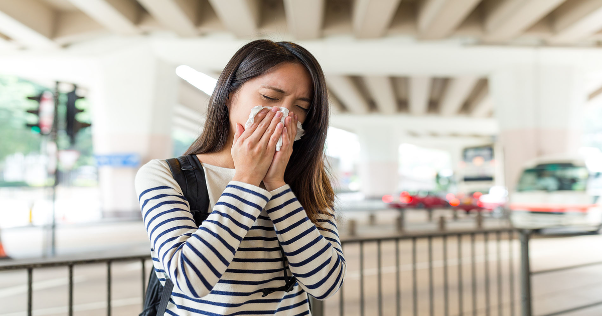 جامن کے پتوں سے ڈسٹ الرجی کا آزمودہ علاج ابھی آزمائیں