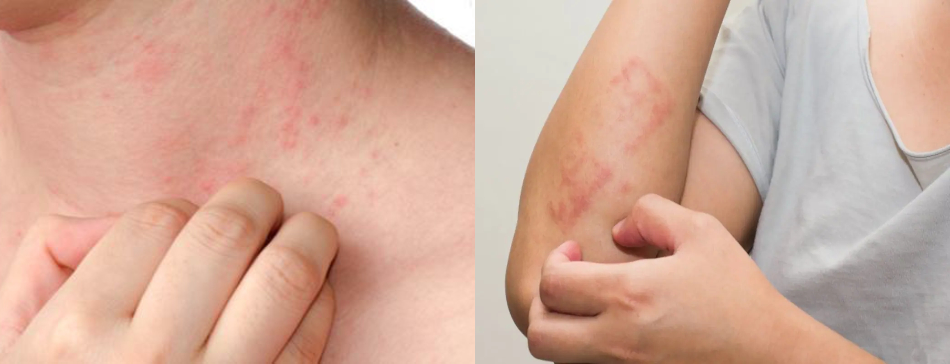 جانئے کچن کی وہ جگہیں۔۔۔۔۔۔ جہاں جراثیم گھات لگا کر بیٹھتے ہیں، لیکن آپ کو پتا نہیں چلتا!