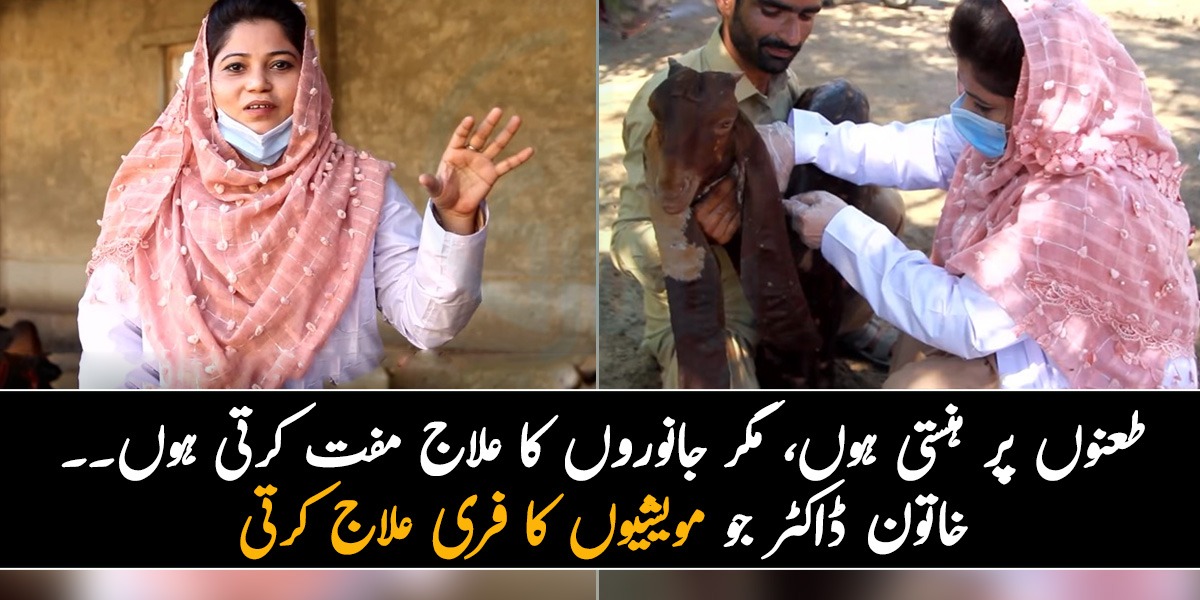 لوگوں کے طعنوں پر ہنستی ہوں، مگر جانوروں کا علاج مفت میں کرتی ہوں ۔۔ ایسی خاتون ڈاکٹر جو مویشیوں کا فری میں علاج کرتی ہے