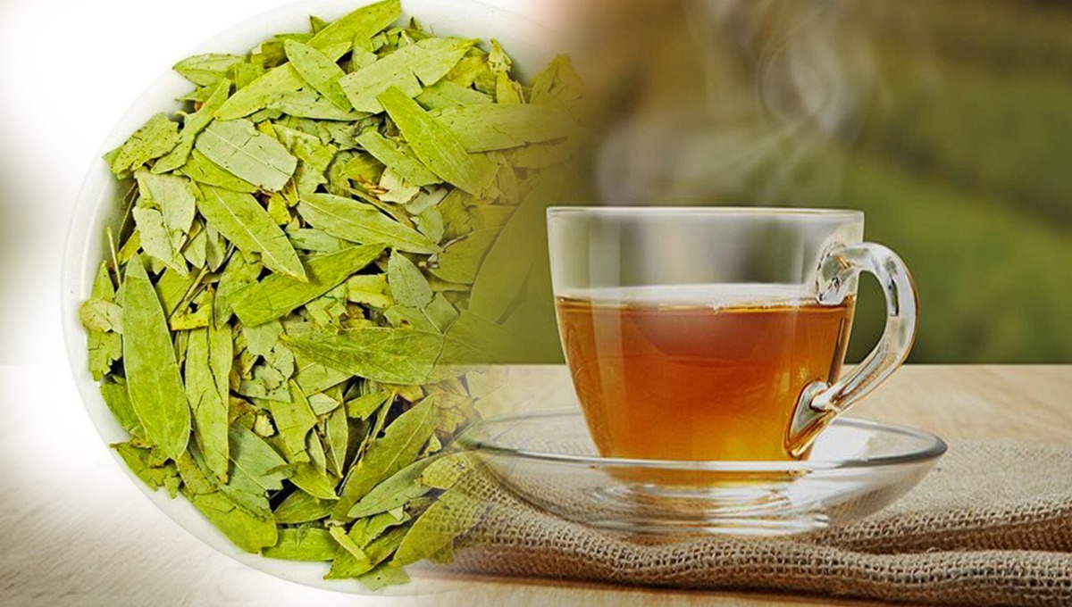 سنا مکی کے فوائد اور اس کا قہوہ بنانے کا آسان طریقہ