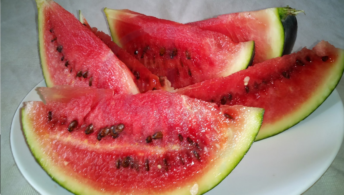 اگر آپ بھی تربوز کے بیج پھینکنے لگی ہیں تو ٹہریں، جانیں مہنگے گوشت والے فائدے تربوز کے بیج کے کچھ ایسے فائدے جو سب کو پتہ ہونے چاہیے