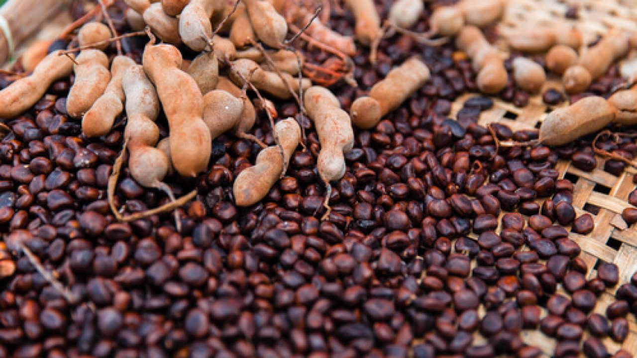 املی کے بیجوں کو آپ بھی پھینک دیتے ہیں تو ایک بار اس کو کھانے کے لاتعداد فوائد جان لیں جو آپ کی کئی مشکل آسان کرسکتا ہے