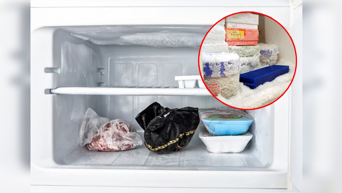 عیدِ قرباں سے قبل اپنے فریزر میں جمی برف کی صفائی کا آسان طریقہ جان لیں تاکہ عید میں گوشت محفوظ رکھ سکیں