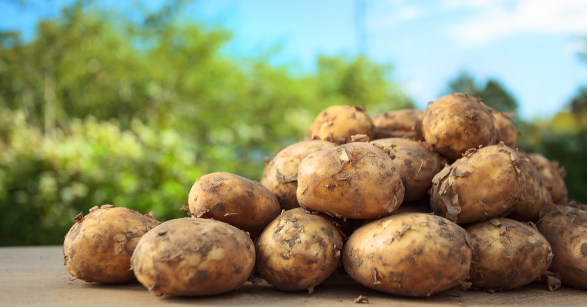 نئے آلو کو چھیلنے اور دھونے کا آسان اور انوکھا طریقہ جانتے ہیں؟ جس سے نہ ہوں آپ کے ہاتھ گندے اور نہ لگے زیادہ وقت