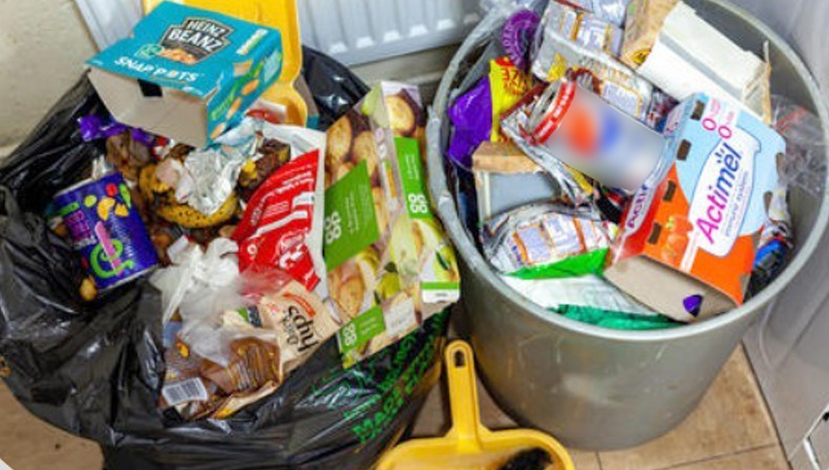 کوڑے دان میں آنے والی بدبو کی وجہ سے پریشان ہیں تو اپنائیں یہ 3 آسان ٹپس اور گندی بو سے جان چھڑائیں