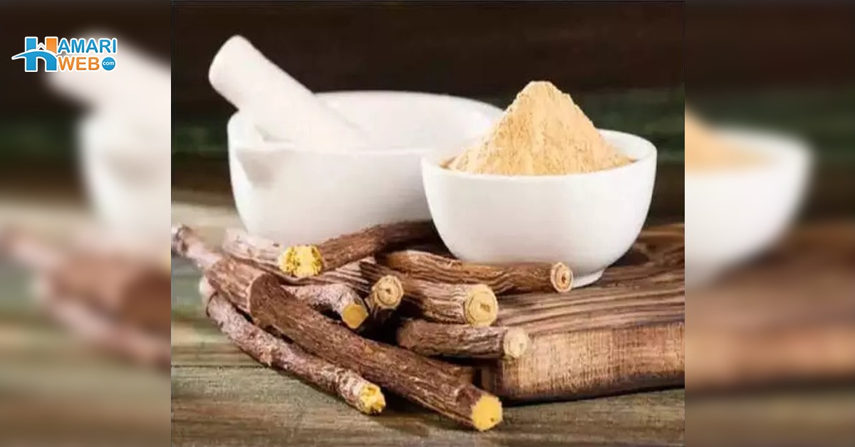 وزن کم کرنا چاہتے ہیں تو یہ سستی چیز گھر لے آئیں بغیر نقصان پہنچائے چربی گھٹانے والی حیرت انگیز جڑی بوٹی! جانیں اس کی قیمت