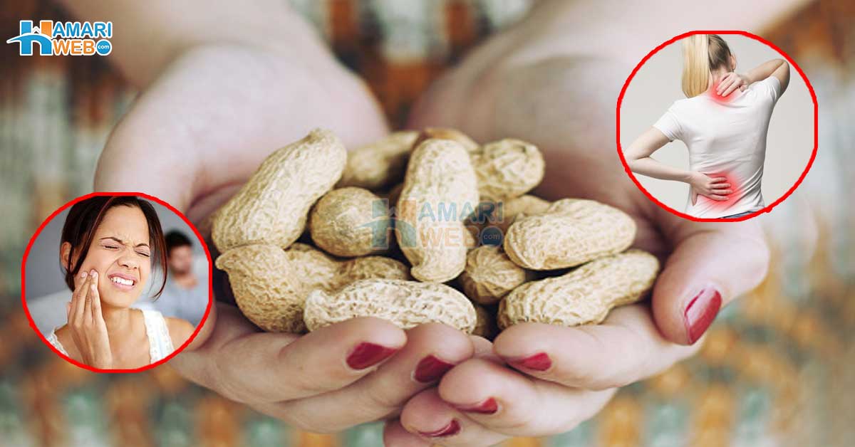 ہڈیوں کی طاقت سے کر دانتوں کی مضبوطی تک۔۔ جانیں گوشت کی خصوصیت رکھنے والی مونگ پھلی آپکی صحت کو کون کون سے فائدے پہنچا سکتی ہے؟