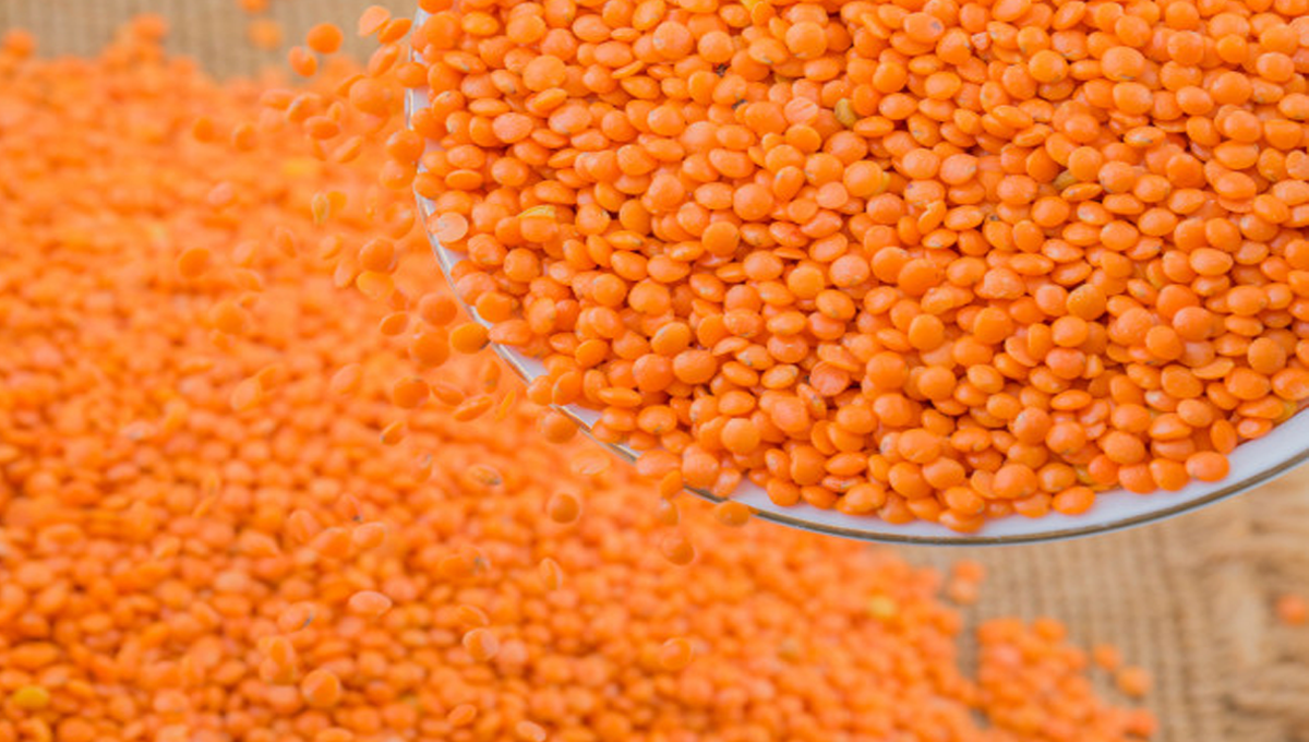 ٹھرئیے ! اگر مسور کی دال بنانے جارہی ہیں تو اس کے متعلق اہم باتیں جان لیں تاکہ آپ بھی اپنی صحت کا رکھ سکیں بھرپور خیال