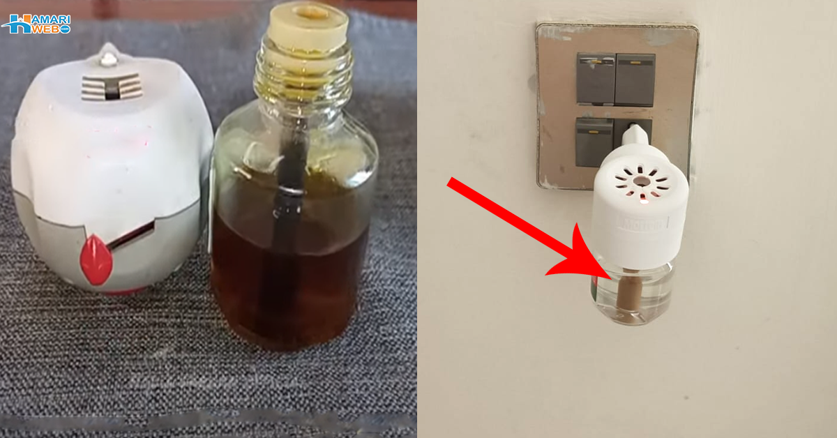 دو مہینے تک مچھر رات کو تنگ نہیں کریں گے۔۔ بس 20 روپے سے یہ لیکوئیڈ بنائیں اور مہنگے رپیلنٹ کے پیسے بچائیں